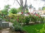 20090423-IMG_3893.jpg