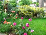 20090423-IMG_3894.jpg