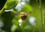 20090510-_MG_7721.jpg