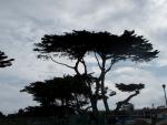 20090911-IMG_3131.jpg
